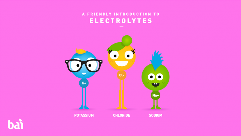 A Friendly Introduction to Electrolytes